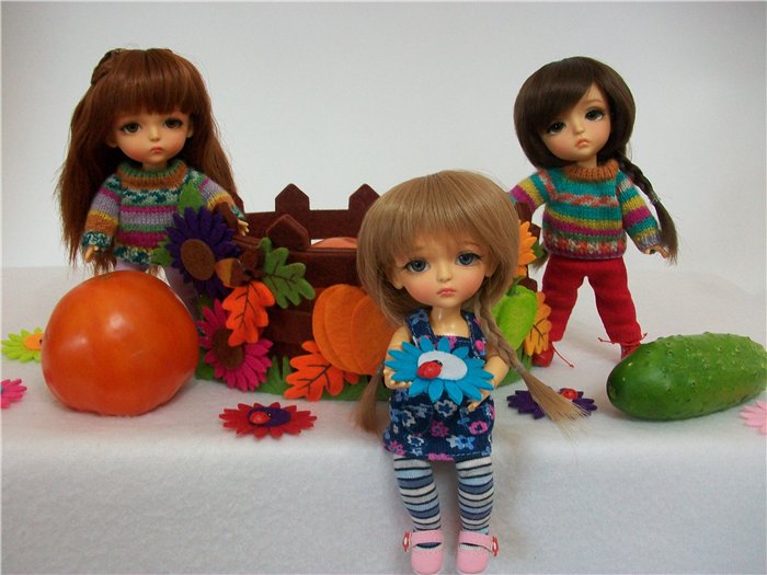 Как латишки урожай собирали (фото 6)