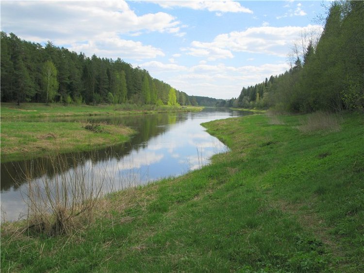 Сказочное Василёво. Реплика антикварной куклы Bébé BRU JNE от автора Branka Schärli