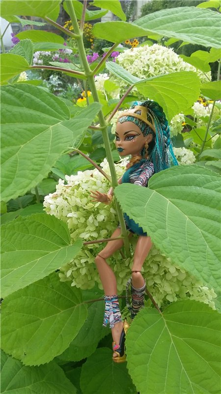 В гостях у бабушки ))) или яркое лето 2016 с девочками от Монстр Хай | Бэйбики В гостях у бабушки ))) или яркое лето 2016 с девочками от Монстр Хай (фото 7)