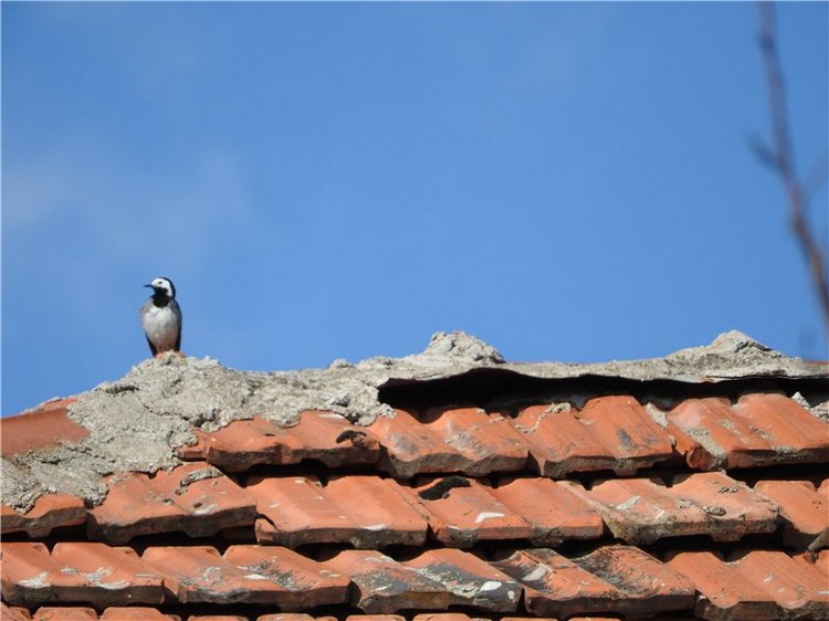 Любителям маленьких кукол