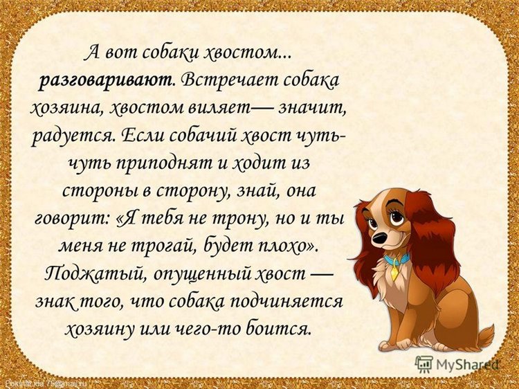 Когда я буду именинник, куплю я хвостик за полтинник. Мне продавец измерит рост и подберет по росту хвост (фото 3)