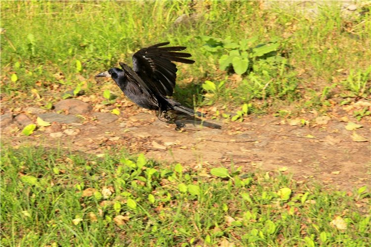 Русская Атлантида, заключительная часть. Калязин, Тверская область