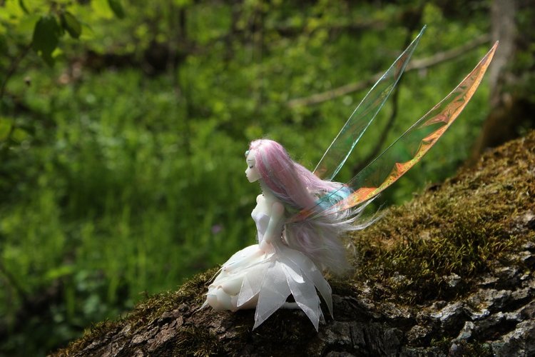 Снова 2 девочки, совершенно разные. Фея и японская школьница