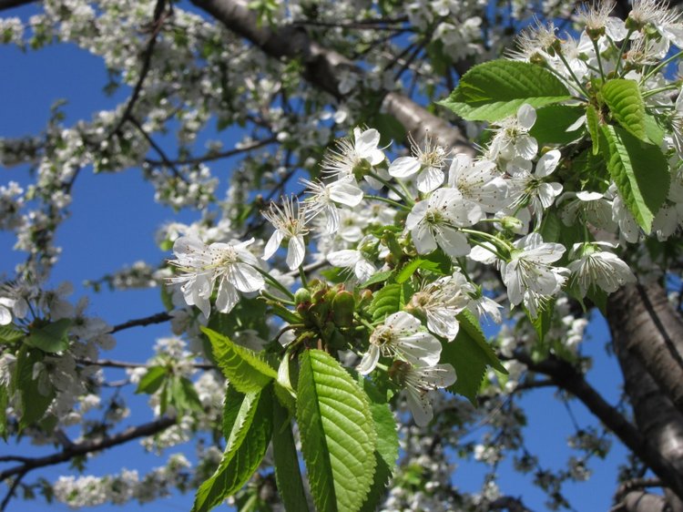 И вновь Хелена посещает логопедический кабинет... а заодно и рассматривает садик