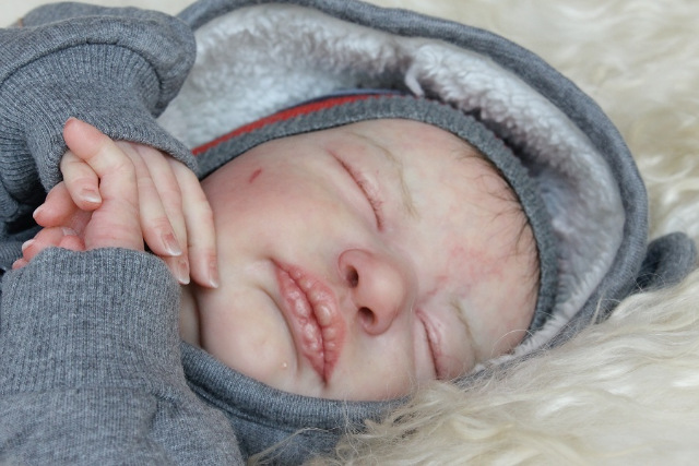 Сиренити от Екатерины Бойковой. Serenity Laura Lee Eagles (фото 10)