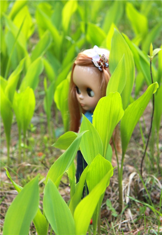 Блайзочки на природе — Оригинальные куклы Blythe (Блайз): Takara
