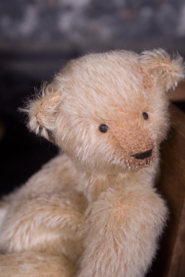 Мои Мишки тедди — Авторские мишки Тедди и друзья: фото