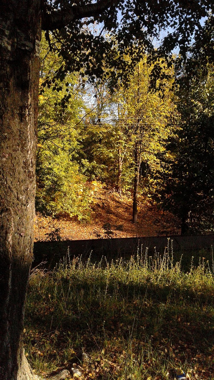 Зимнее солнце. Глава 9. Последняя остановка