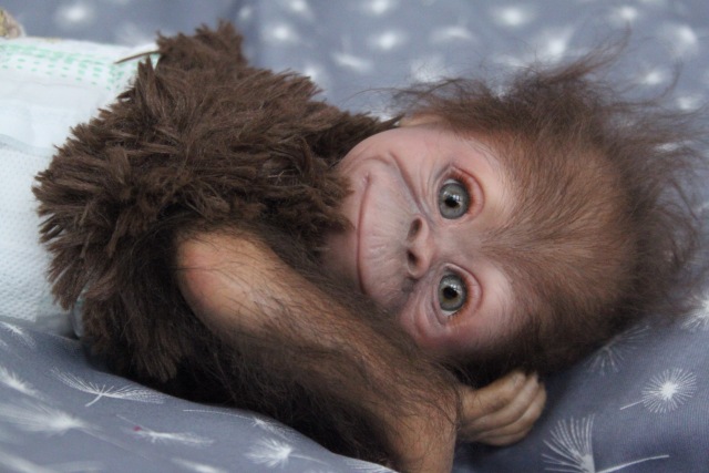 Клёпочка, кукла реборн Элины Кудрявцевой