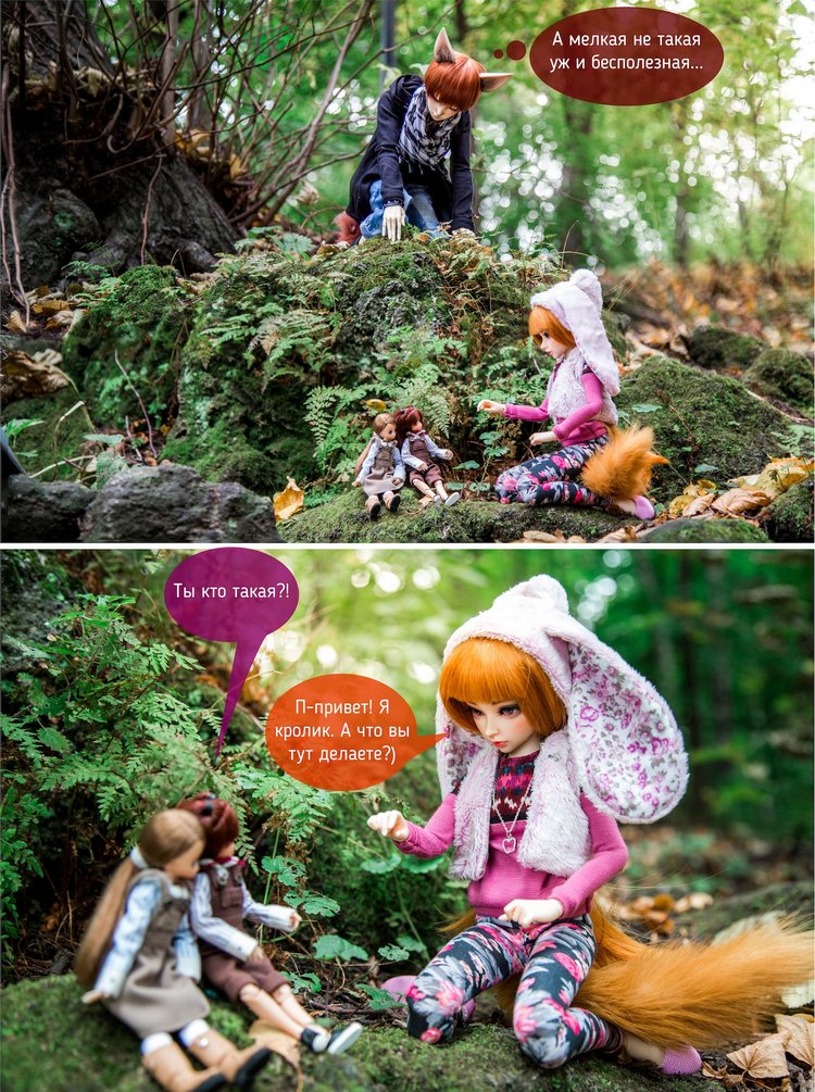 Лисьи приключения: Кролик, или лис - вот в чём вопрос (фото 5)