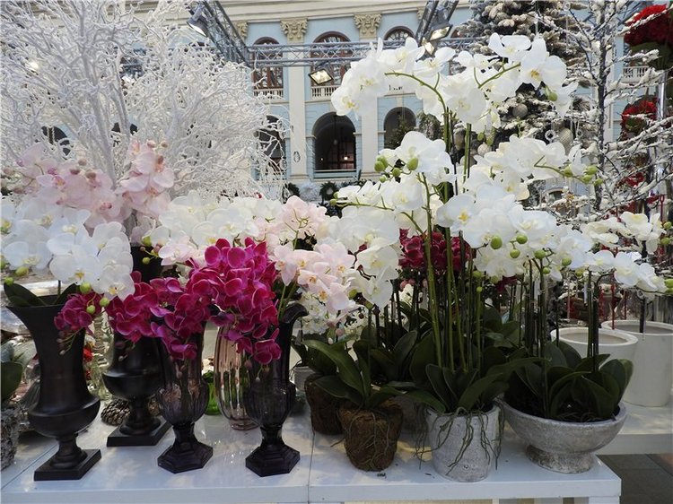 Москва, Гостиный двор, выставка: ПОДАРКИ 2016. Фоторепортаж (фото 10)