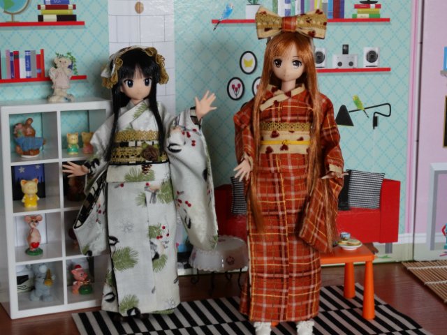 Вечеринка у моих японочек (фото 6)