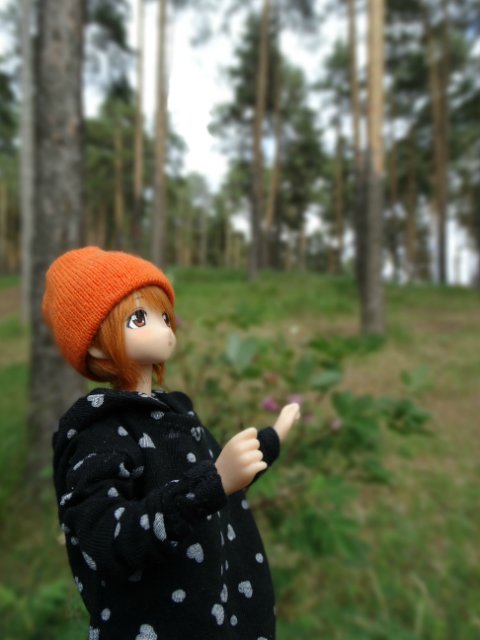 Прогулка в прохладный день | Бэйбики Прогулка в прохладный день