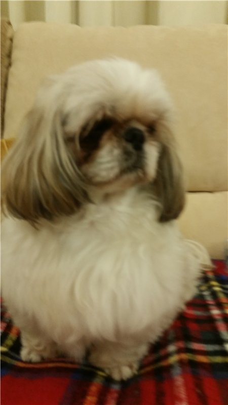 Мое сокровище. Самые любимые дети | Бэйбики Мое сокровище. Самые любимые дети