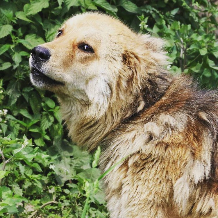 Те, кто нас любит и в домашнем халате, и без косметики, и растрепанными | Бэйбики Те, кто нас любит и в домашнем халате, и без косметики, и растрепанными (фото 3)