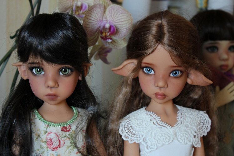 Мои ушастенькие любимицы Кайе Виггс (фото 9)