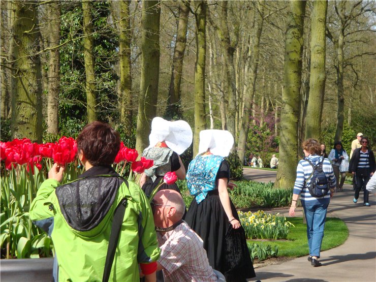 Парк цветов в Кеукенхоф (Keukenhof) в Нидерландах (Голландия)