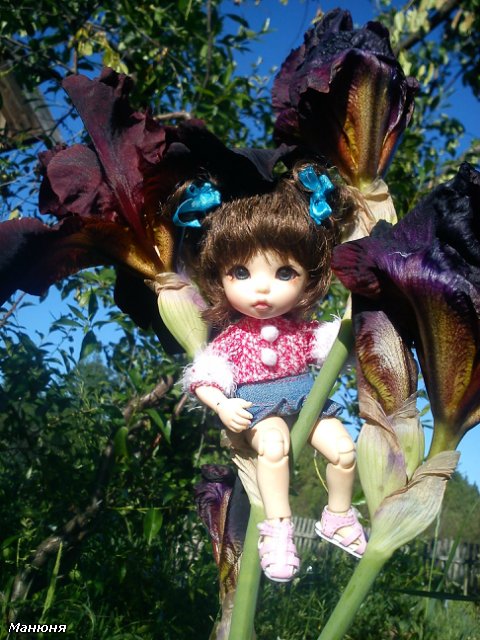 Манюнькино лето-1 PukiFee Ante (фото 2)