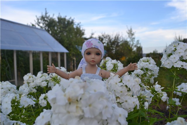 Элин от Iplehouse