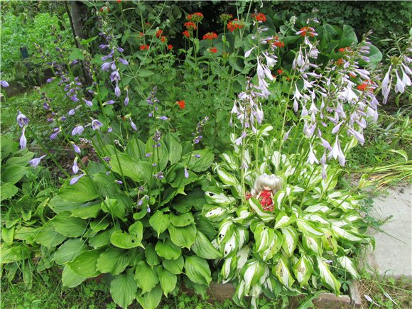 Дюймовочка. Мэгги в саду | Бэйбики Дюймовочка. Мэгги в саду — Куклы Fairyland (ФэйриЛэнд): BJD (БЖД)