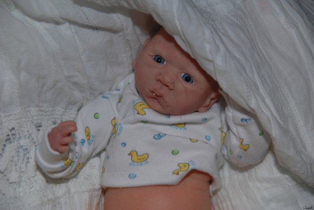 Катенька,малышка ооак Каравайчик Ольги (фото 6)