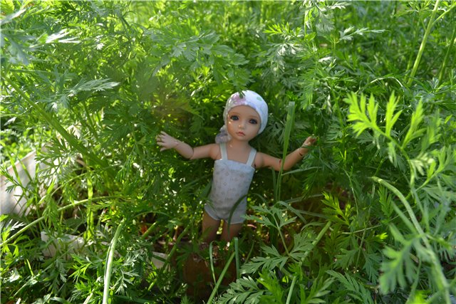 Один день из жизни Евочки на даче. Элин от Iplehouse