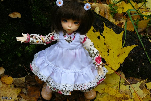 Вот так погуляли или Как у нас появилась кукла БЖД LittleFee Ante Elf