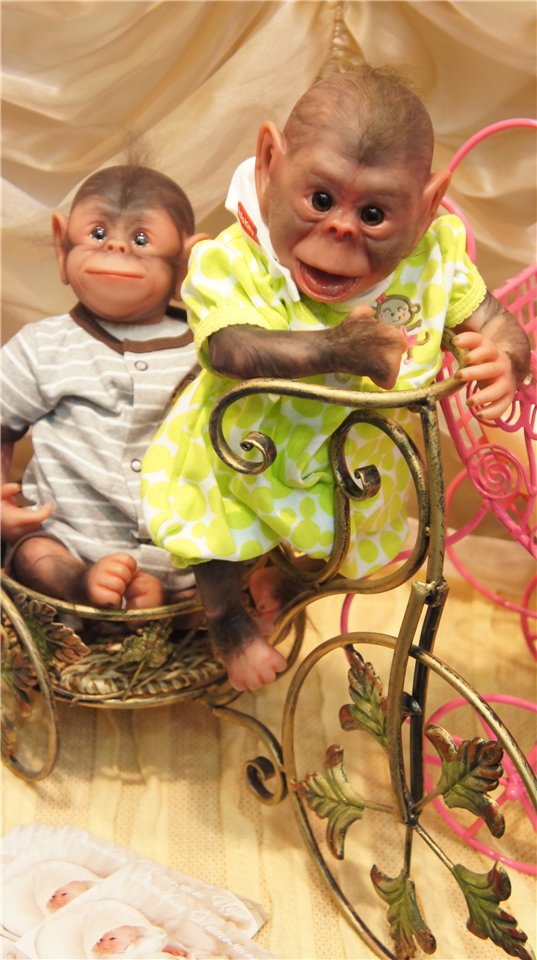 VII Международный салон кукол на Тишинке. Куклы реборн (фото 6)