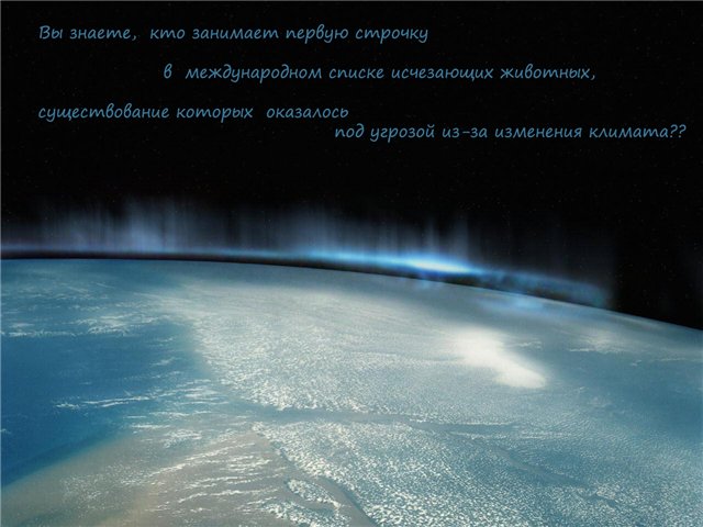 Если ты любишь животных, оставь их дикими... Мия и Кука встали на защиту животных