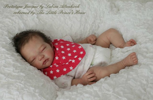 Прекрасная спящая белоснежка Прототип молда Juniper kit by Sabine Altenkirch (фото 10)
