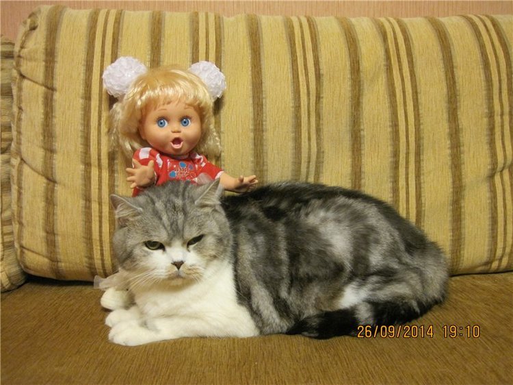 Малышка Сьюзи. Очаровательная куколка Galoob baby face