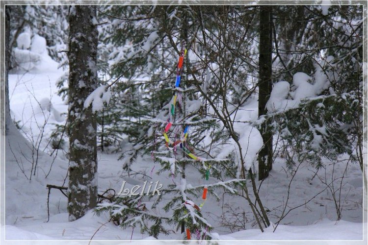 12 месяцев, или как Тамира за подснежниками ходила )