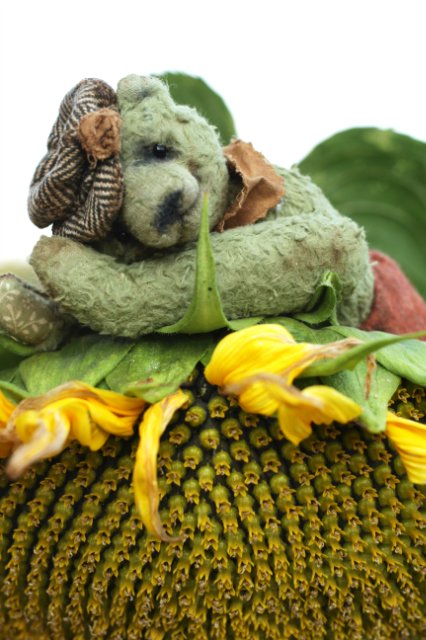 Деревенские медведи. Игрушки ручной работы