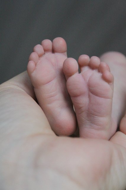 Офелька-стрекоза, куклёныш реборн Элины Кудрявцевой (фото 3)