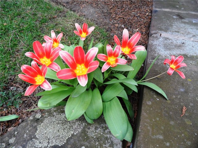 Рут, Эстер и шоколадная фабрика. Cadbury World, Bournville (фото 9)