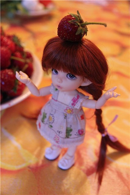 Клубничка. Амели. Пукифи Анте (фото 6)