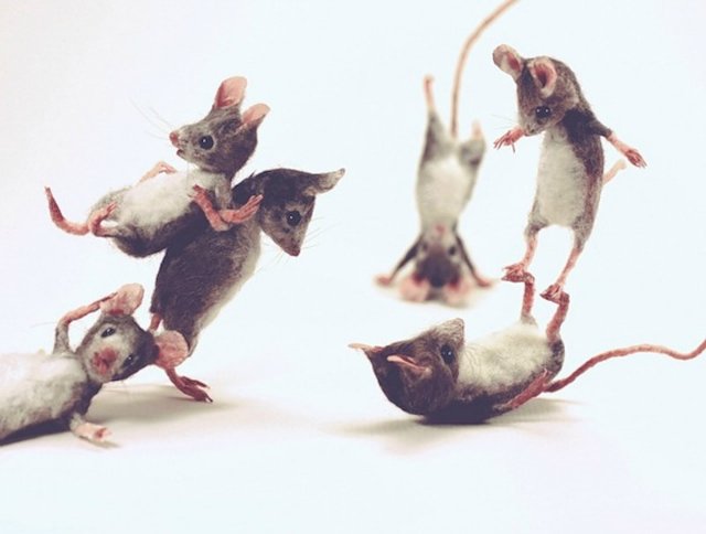 Мышиный дом или Жизнь замечательных мышей. Авторские игрушки в книжной иллюстрации. Мэгги Руди (Maggie Rudy) - "Mouses