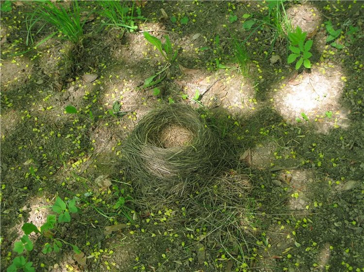 Субботний вояж. Заключительная часть (фото 4)