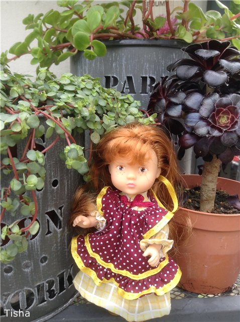 Малышки Sarah Key — Другие мини