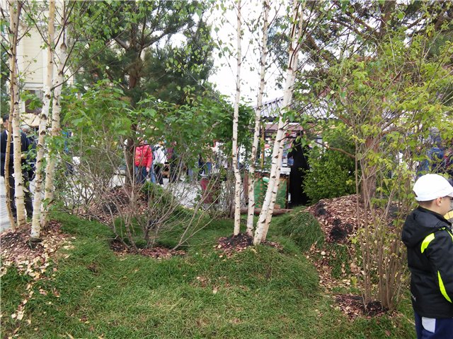 Незапланированная прогулка