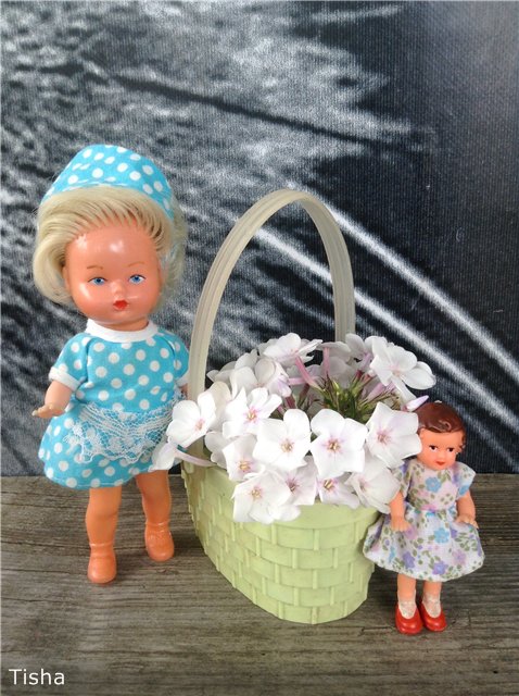 Малышки Аришки и две неизвестные мне Немочки