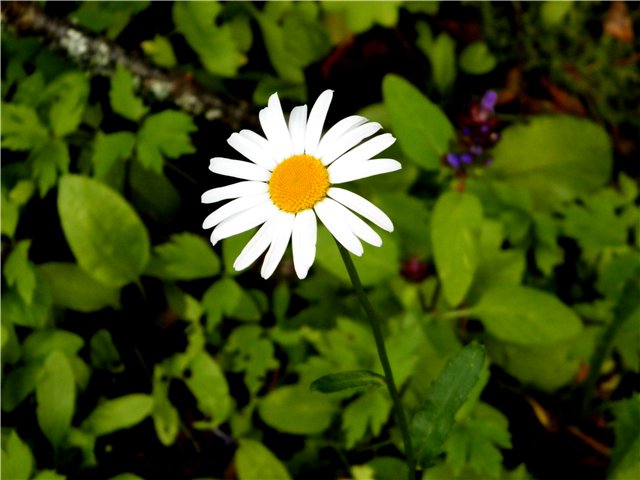 Тепло Природы — Интересное и необычное: фотоподборки (фото 6)