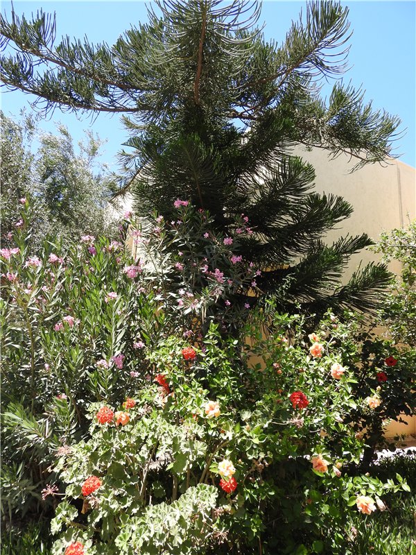 Греция, Крит, путешествие Светланки