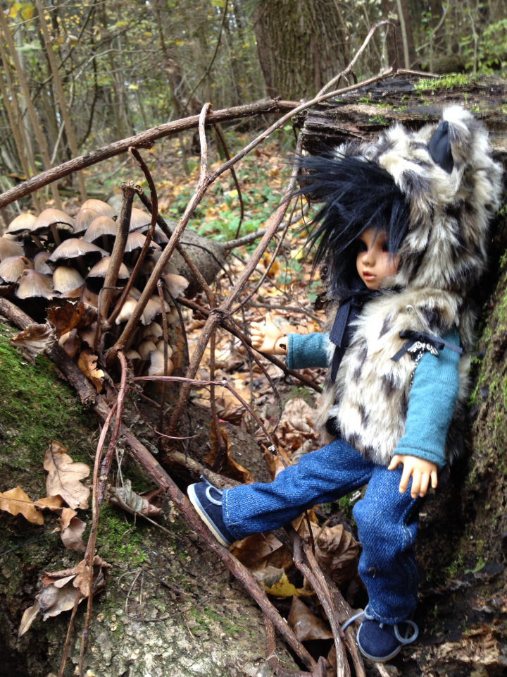 По делам и по грибам или одно другому не мешает (фото 3)