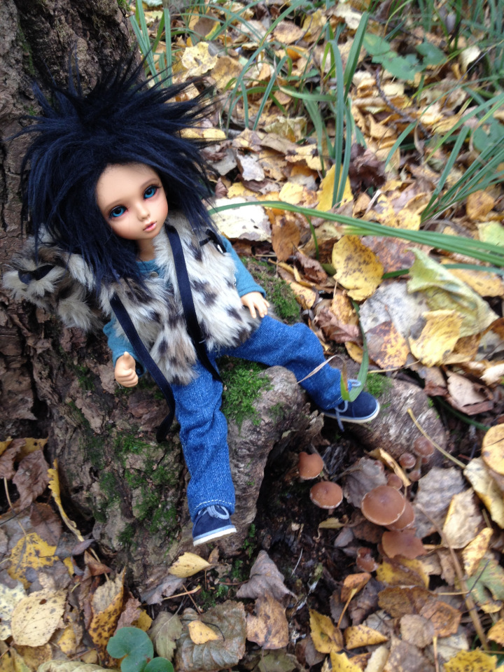 По делам и по грибам или одно другому не мешает