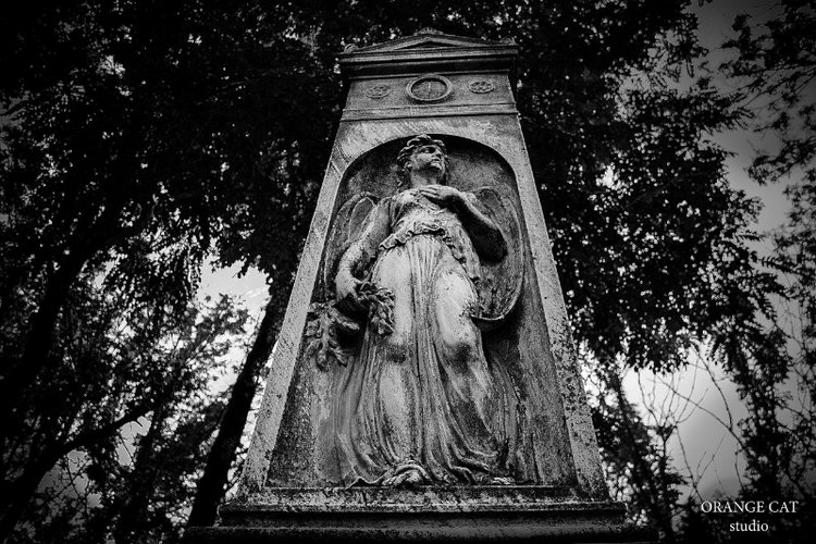 Уснувшая навсегда — Культура