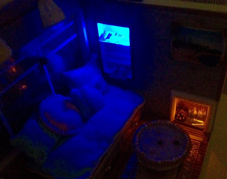 Наш новый домик, розарий для феи