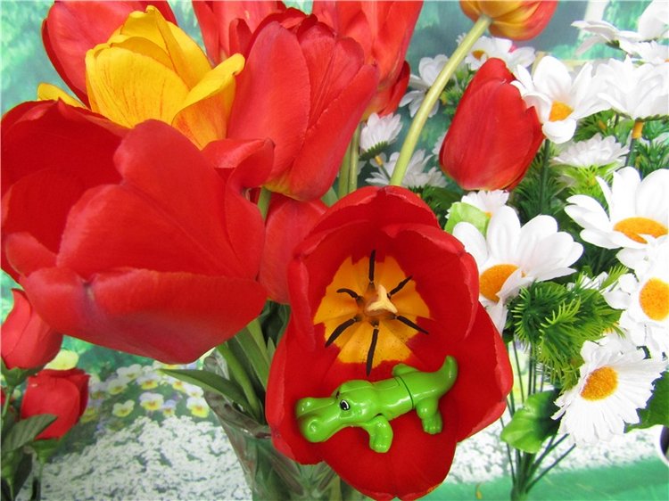 Крокодильчики мои, цветики речные (фото 5)