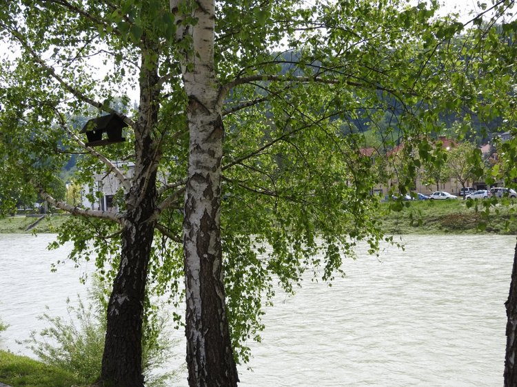 Словения, Светланка и маленький «герой» в одном ботинке