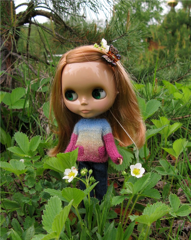 Блайзочки на природе — Оригинальные куклы Blythe (Блайз): Takara